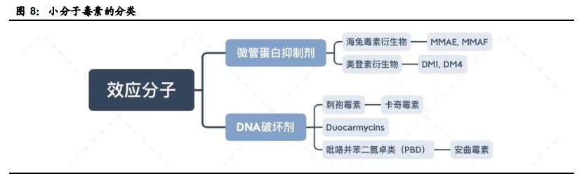 创新药行业专题报告：ADC药物迎来黄金时代
