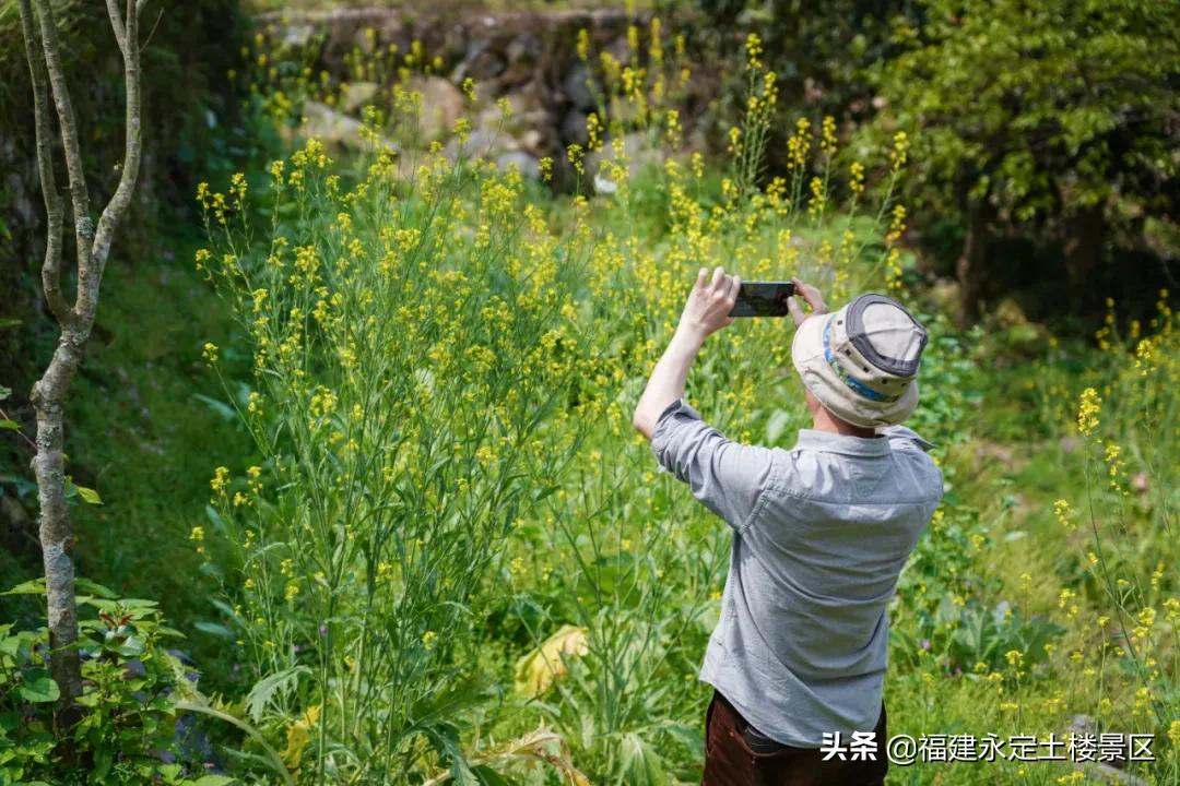 阳春三月 · 永定初溪土楼赴一场春之约