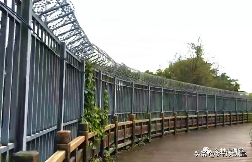 中国在中缅边境、中越边境修起了“隔离墙”。
