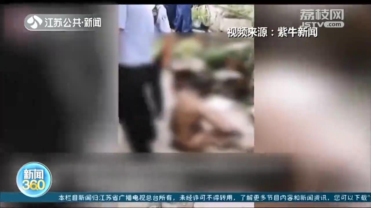 电动车电池爆炸导致外卖员重度烧伤 平台方和电池租赁方都称“无责”