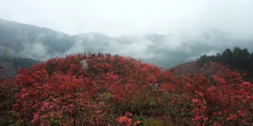 旅游业为何沦为灰色产业？