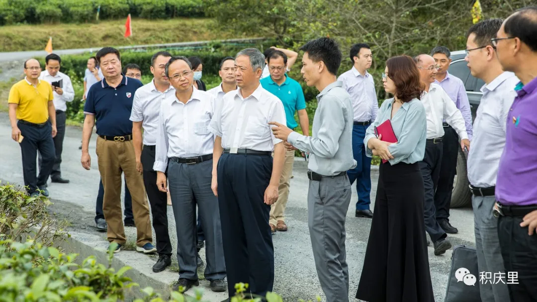 国庆前,国务院扶贫办副主任陈志刚到英德调研产业扶贫工作