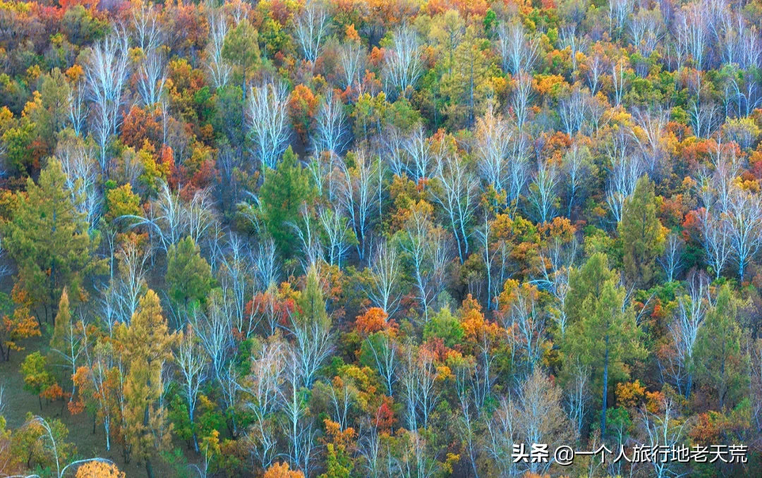 中国秋天最美的12条自驾线，9、10月沿途美如画，挑一条出发