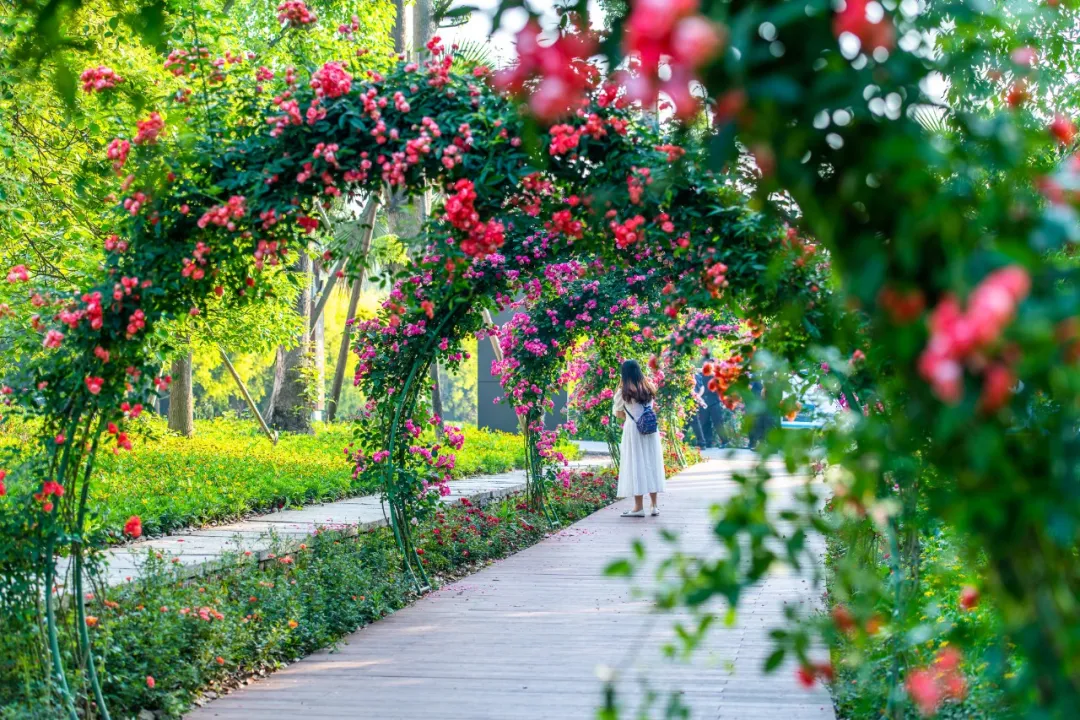铜梁.龙乡绿道:在巴岳玄天下延展超级步行重庆的新可能性