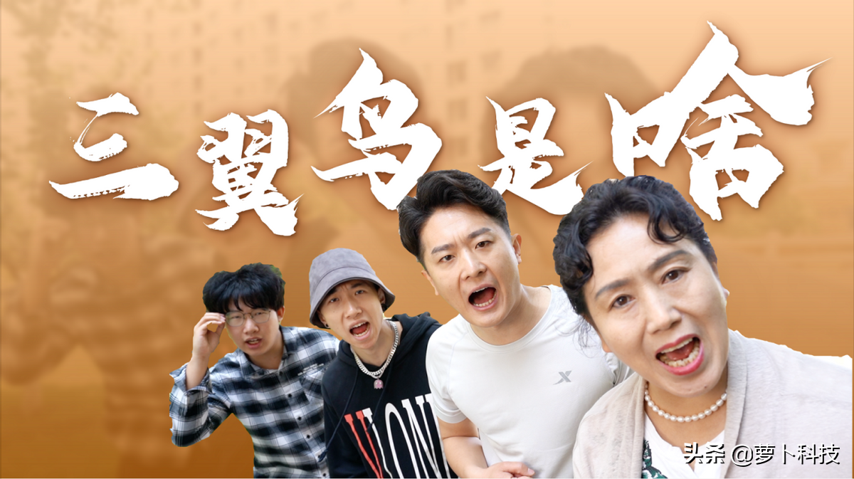 三翼鸟是啥?这次海尔智家用RAP唱给用户听