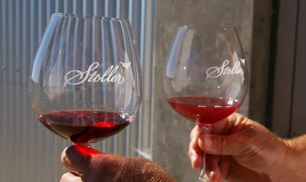 史上最全酿酒全过程详解，建议收藏（多图）