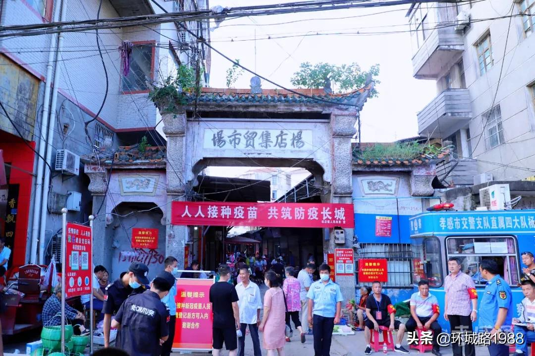 这里是,杨店