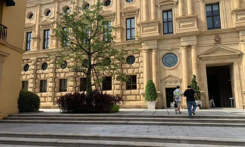 &quot;Ϲ&quot;һ죬Ϊôˣ