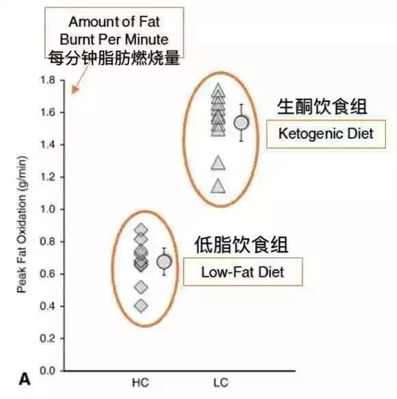 不吃主食减肥，为什么瘦的那么快？这10张图告诉你答案