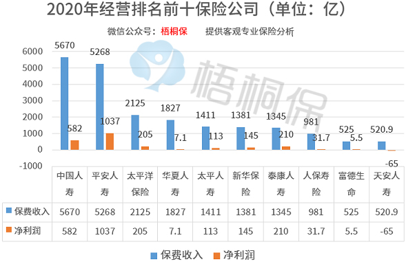 中国十大保险公司，这次我研究了个透 第2张