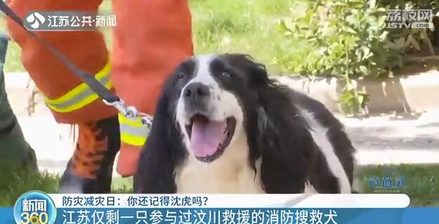 汶川地震搜救犬塑像落成 训导员落泪