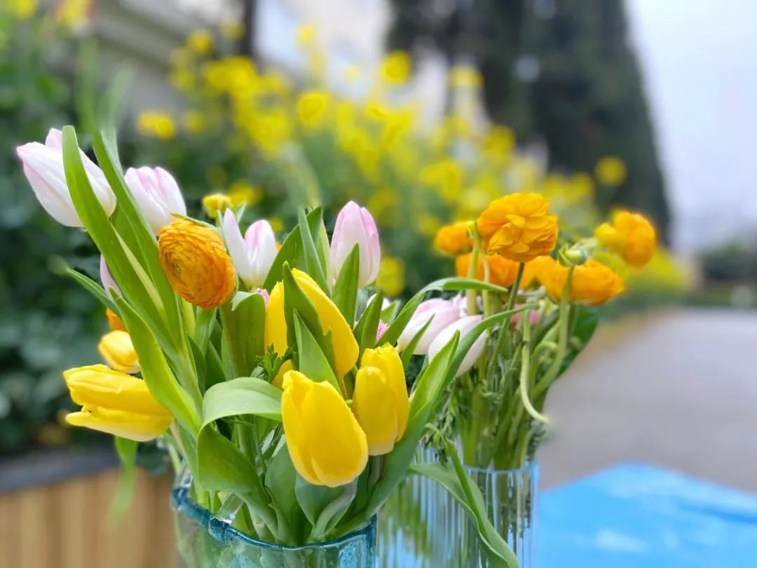 成都市华阳中学附属小学举行“三八妇女节”庆祝活动