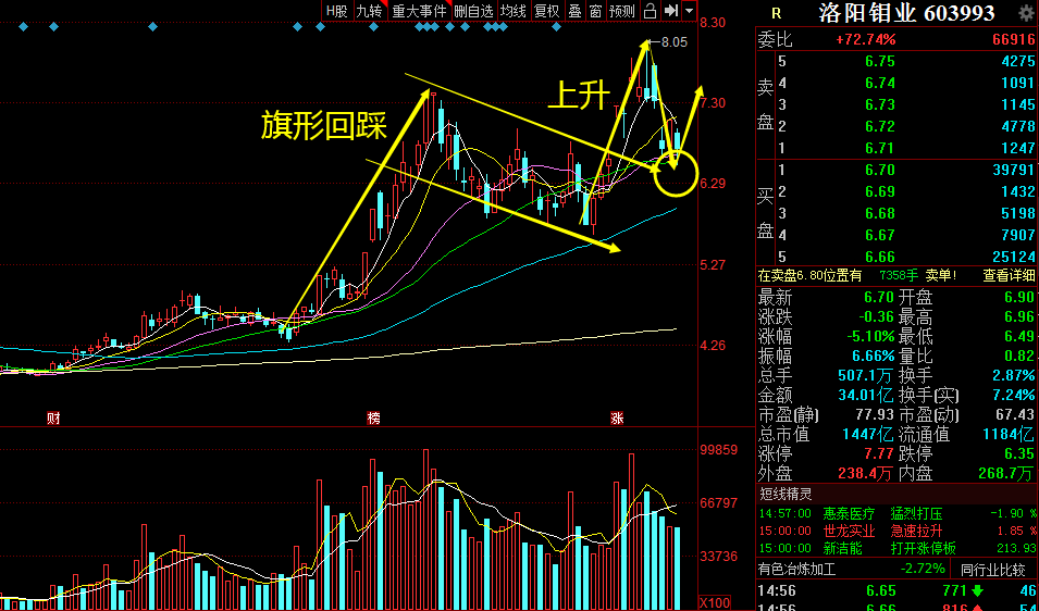 北方稀土、章源钨业、洛阳钼业、赣锋锂业，谁