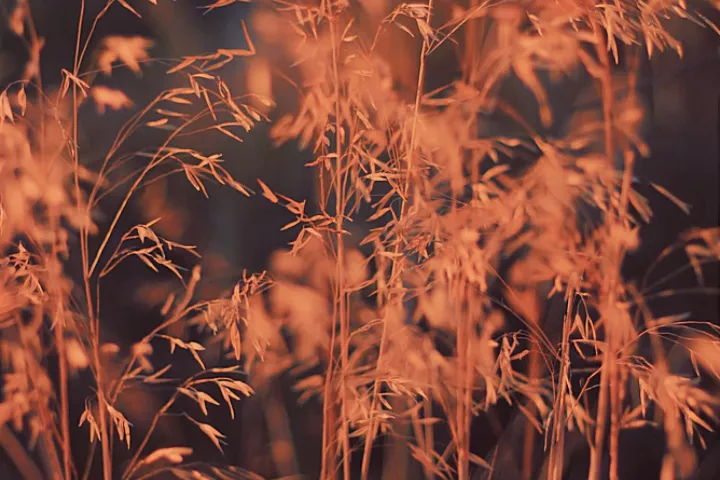 打造优质短视频需要知道的五件事