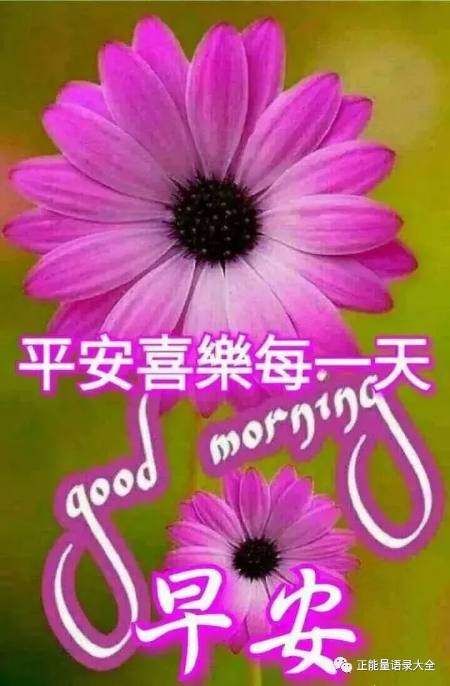早安最美好的祝福图片带字，愿你每天都拥有一份好心情图片