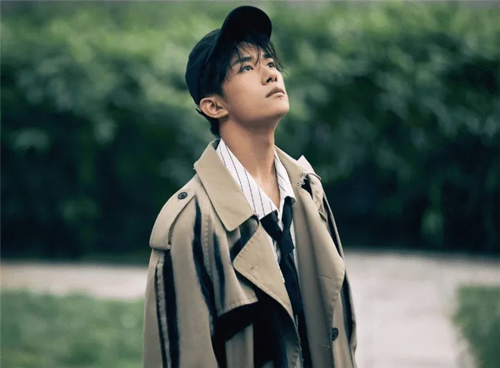 最受欢迎的男歌手排行：王俊凯仅第五，华晨宇