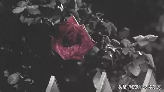 10部反乌托邦电影:未来的世界是怎样的?