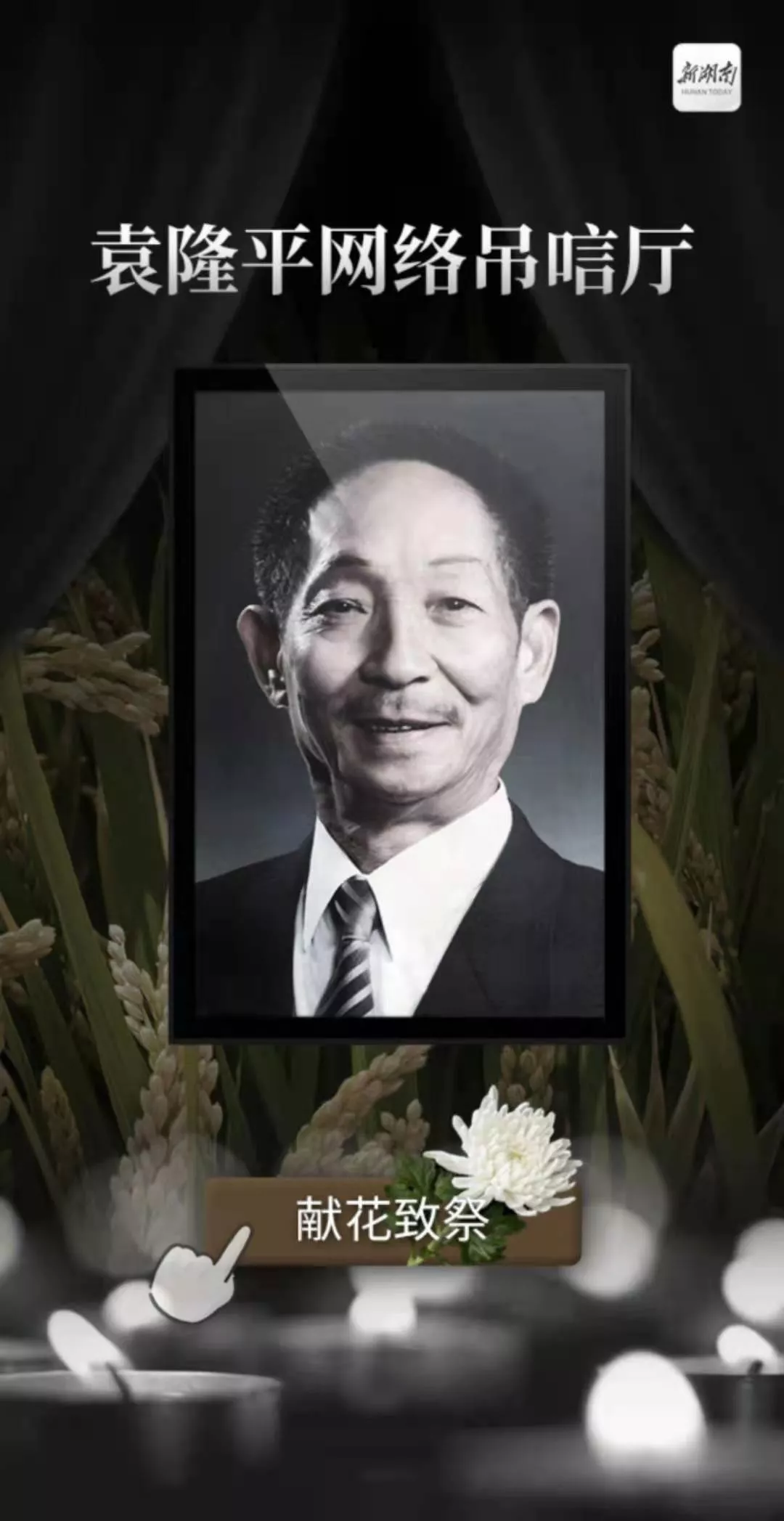 袁隆平丧事从简不接待群众悼念 袁隆平遗体送别仪式24日举行