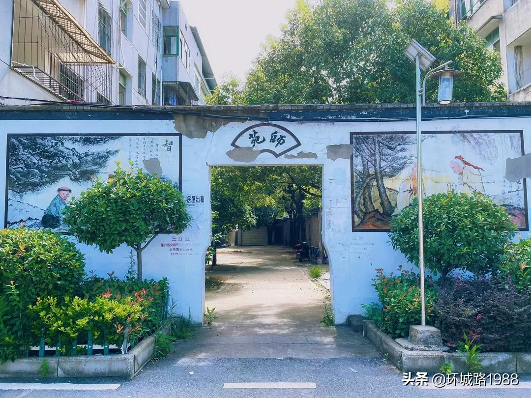 这里是,杨店