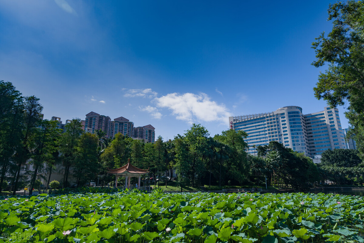 助力高水平醫(yī)院建設(shè),！我院修訂出臺《博士后管理辦法》