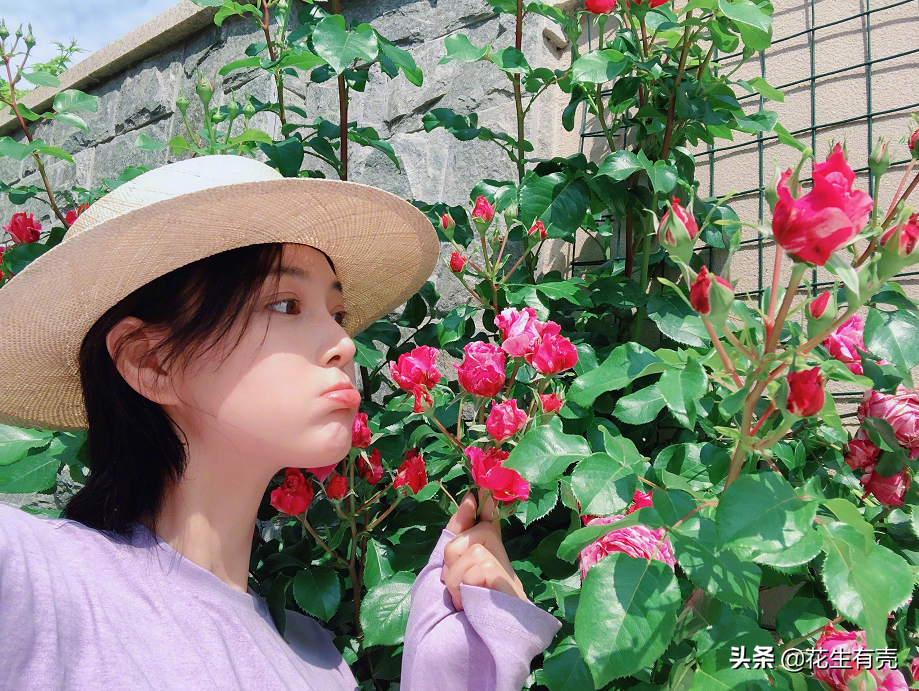 “种菜女神”张馨予：嫁给何捷才明白，双向奔