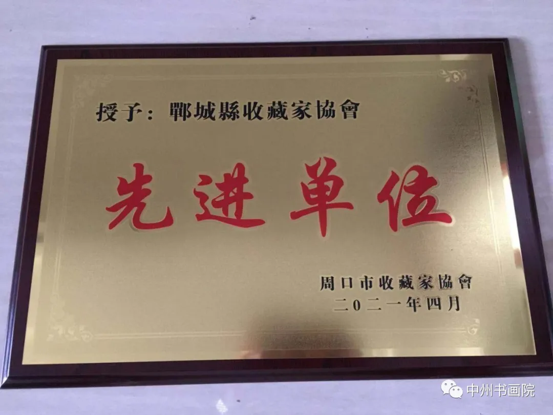 周口收藏家协会理事（扩大）暨2021年会召开 郸城藏协荣获多项殊荣