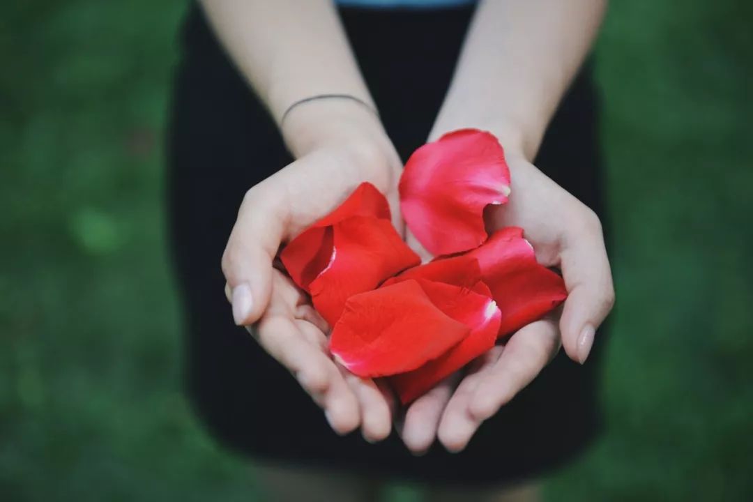 520ʫ100䣬䶼ǡҰ㡱