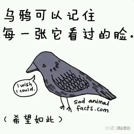 30個(ge) 有趣的科普小星空体育官网入口网站，你知道幾個(ge) ?