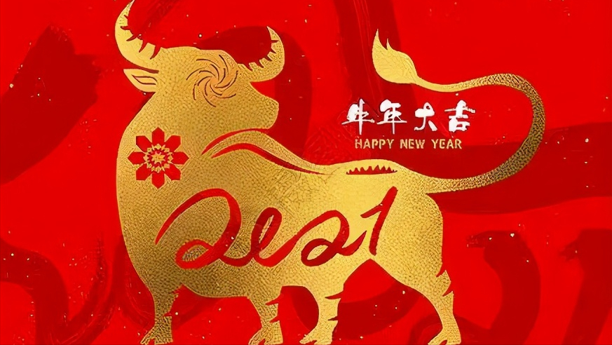 Out of the depth of misfortune comes bliss, niu Zhuaiqian female 2021