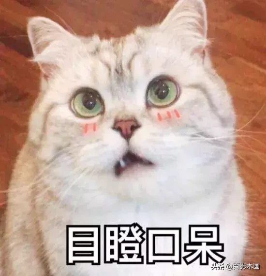 蓝翔技校+玛丽苏,我就看你能抗几集