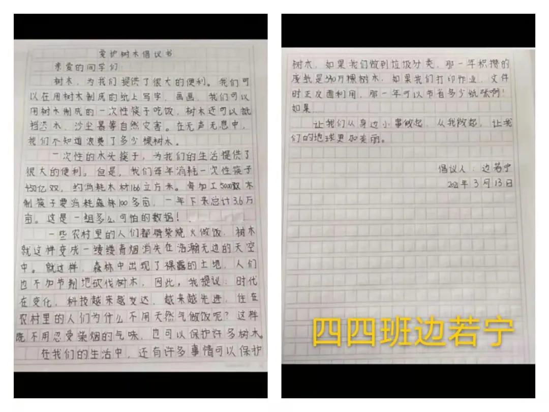 ��֮��.ֲ�̻���--�����еھ�Сѧֲ���ڻ��Ӱ