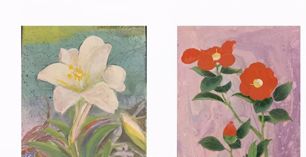 杰出书画家杨静江获聘2021年国家艺术联盟新锐奖比赛艺术大使