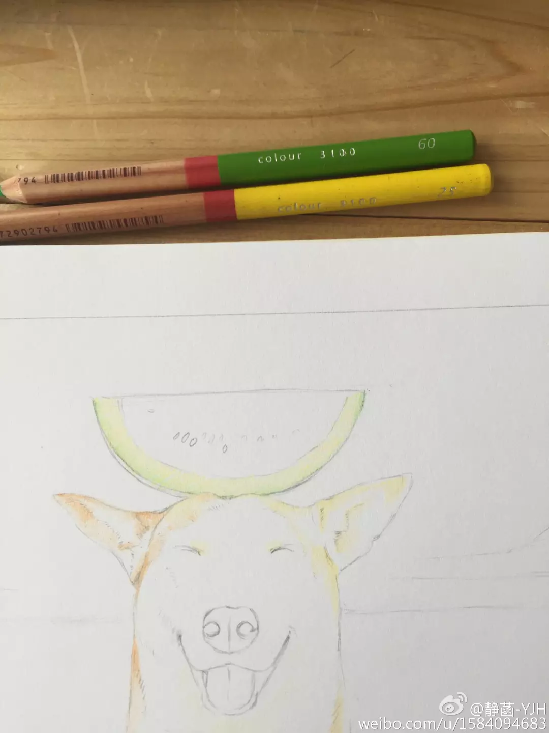 彩鉛動物入門教程｜可愛逗B狗(馬可帶色號)