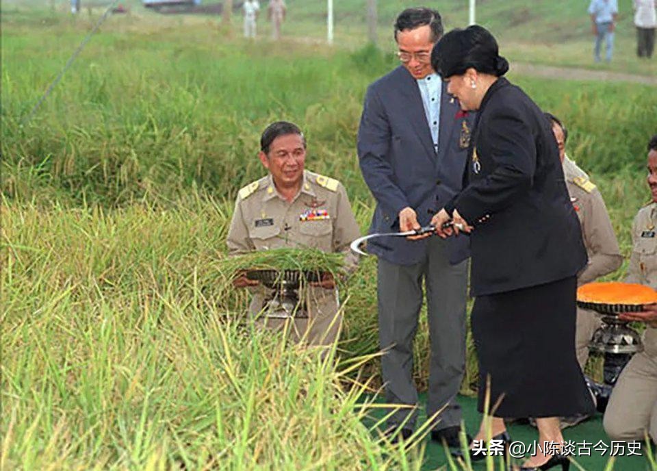 68岁泰王亲自收割水稻，手拿庄稼眉头紧皱，偶尔干农活有点不在行