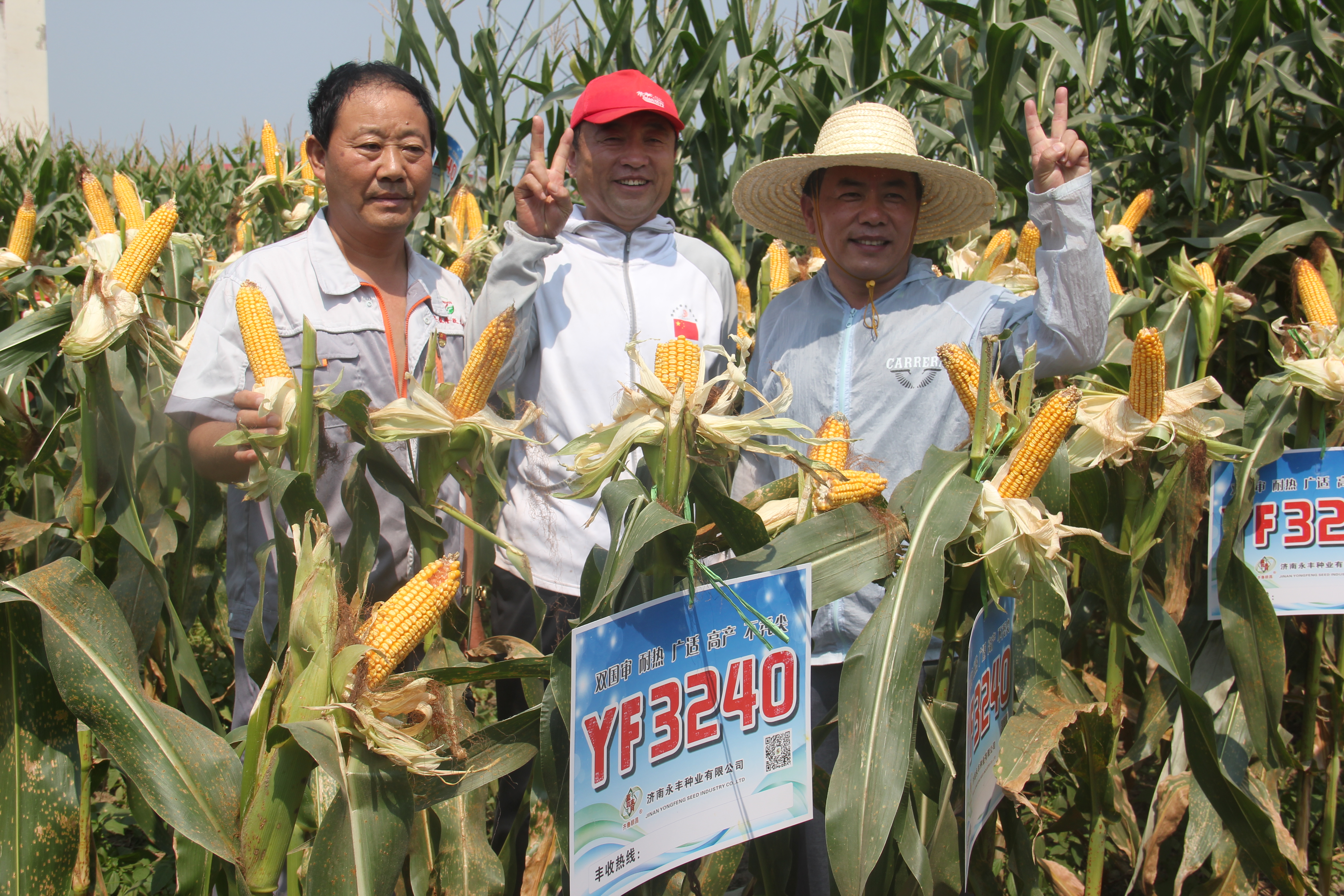 安徽濉溪：隆躍種業香飄大地