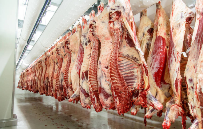 重要信息：俄罗斯10000吨牛肉将进入中国，此前已