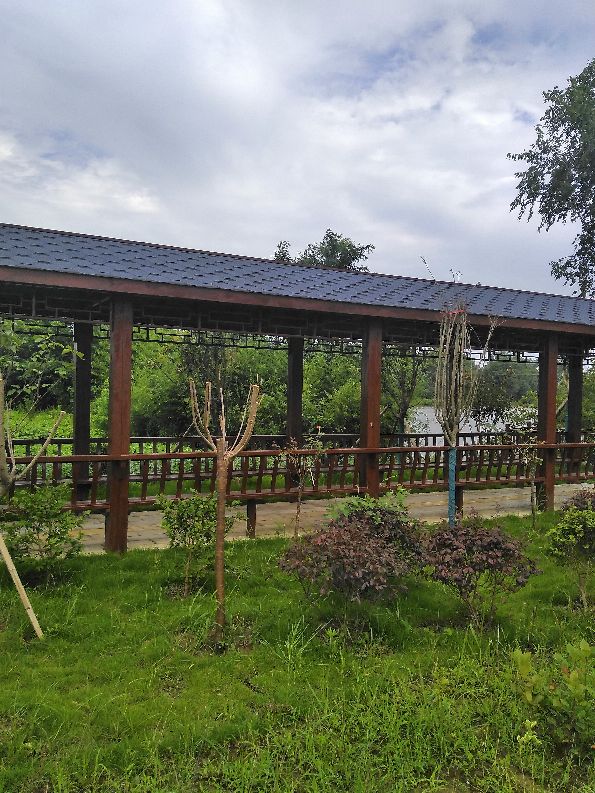 毛市镇石码村：力拓荒原建基地 红色薪火永相传