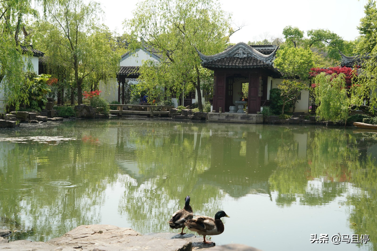 適合一個人旅游的10個地方，每一處都人少景美，關鍵還很原生態