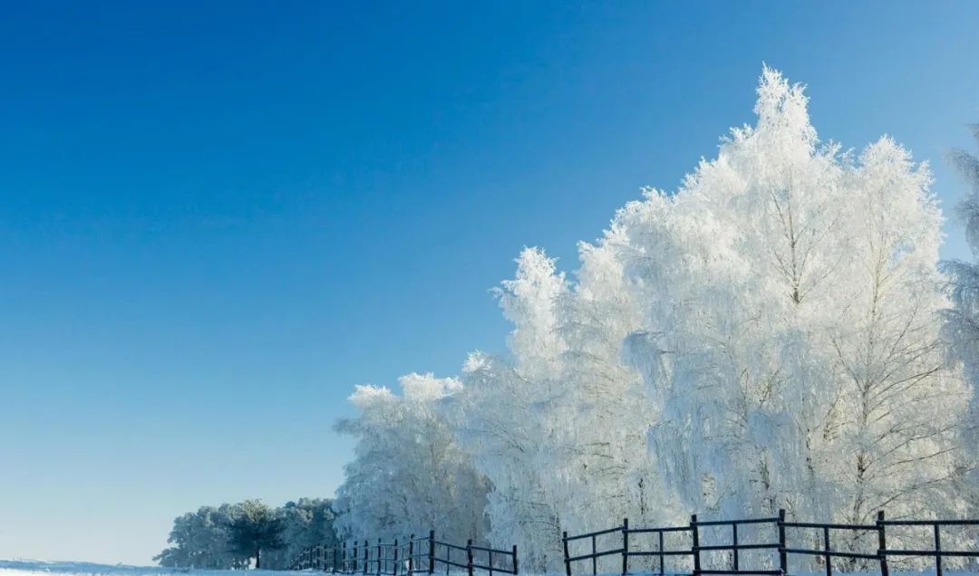 十五首古人对雪的诗词，有数不尽的浪漫！​-第2张图片-非凡网
