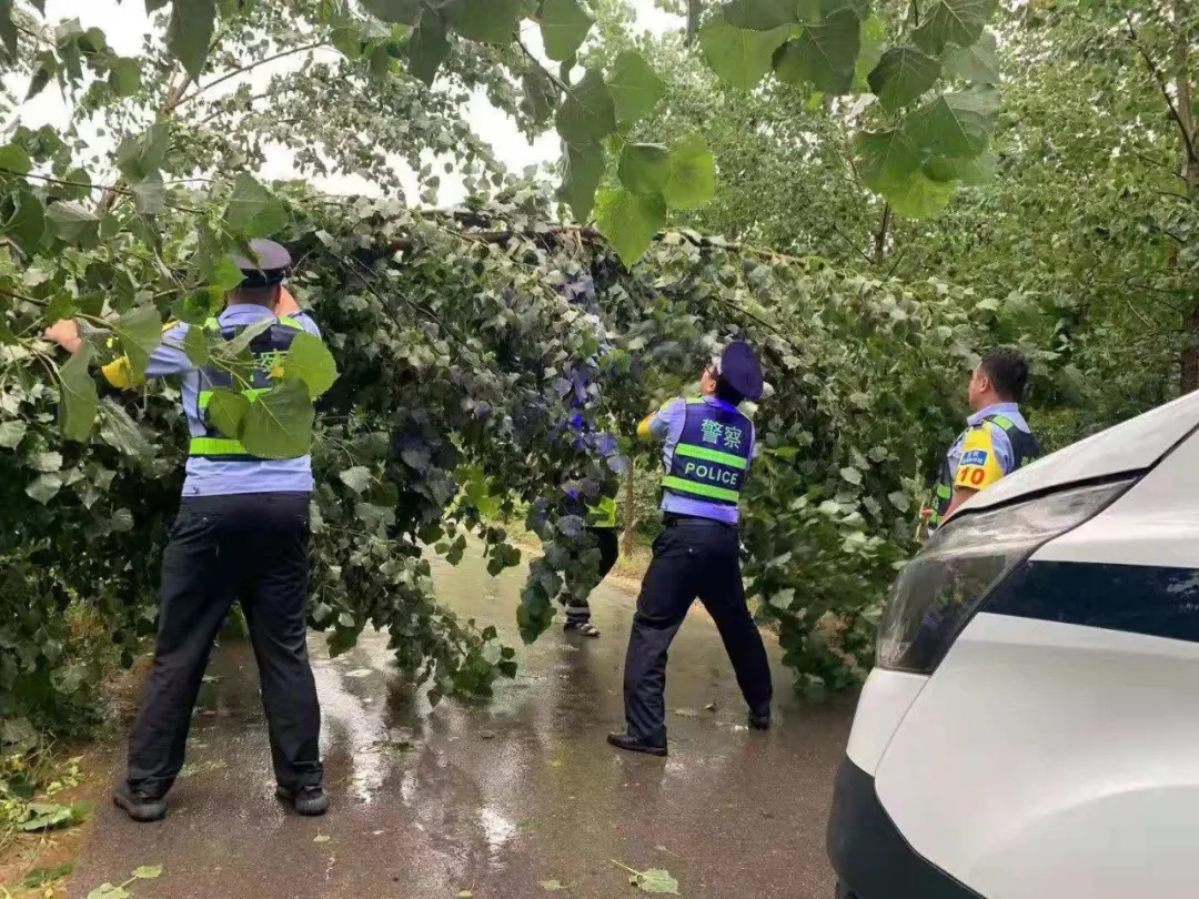 暴风骤雨中，群众需要的地方就是他们前行的方向