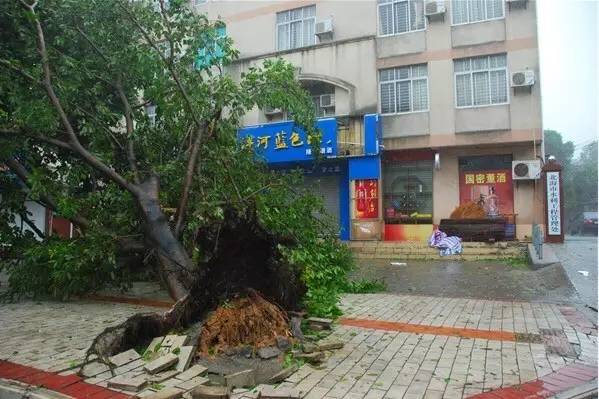 最强台风“巴威”来临，伴有暴雨，家庭及出行用电安全如何保障？