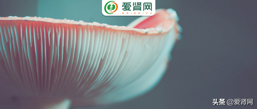 金針菇、香菇、木耳，菌菇類蔬菜真傷腎嗎？ 錯誤食用確能致命
