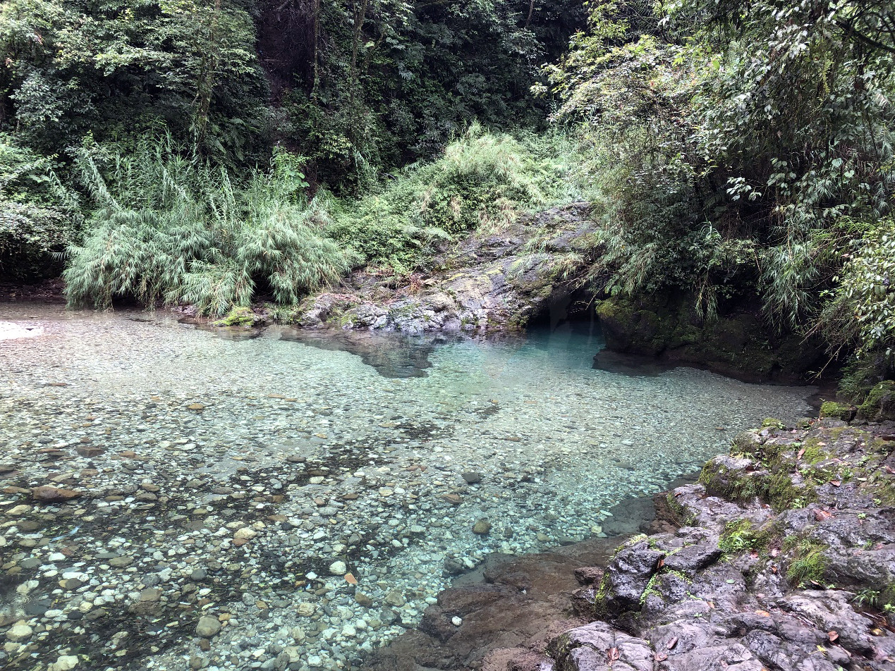 峨眉山旅行日记：徒步攀登太困难，半路还会被猴子“打劫”