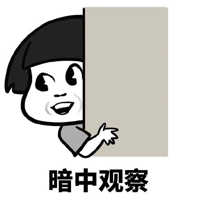 丧心病狂的外挂：透视穿墙，带老板坐飞机，打不过就炸房
