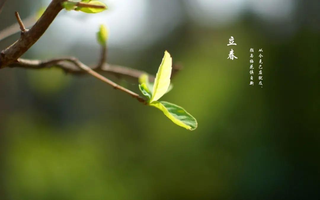 立春 | 春暖花開，萬物復(fù)蘇，不負(fù)春光
