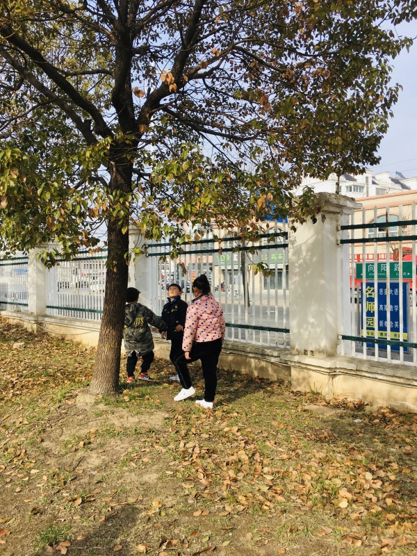 拥抱春天 呵护绿色