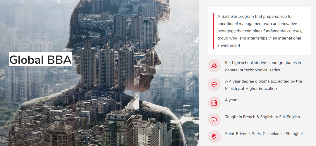 本科插班｜老师好，我是新来的“插班生”