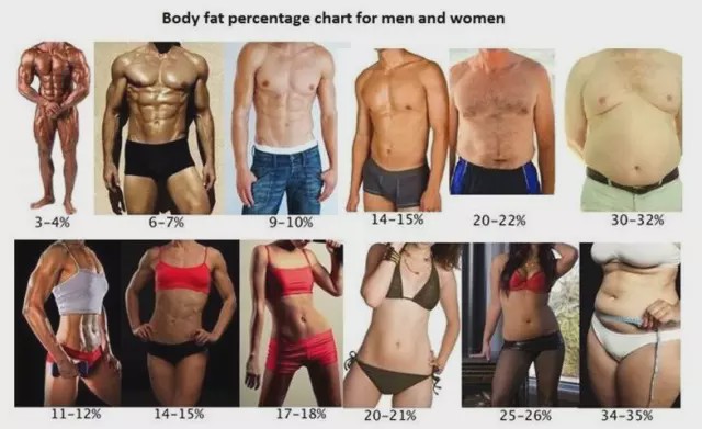 男女體脂對照圖，看看你是哪一種？
