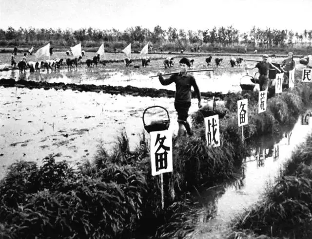 记录火红年代青春岁月的照片