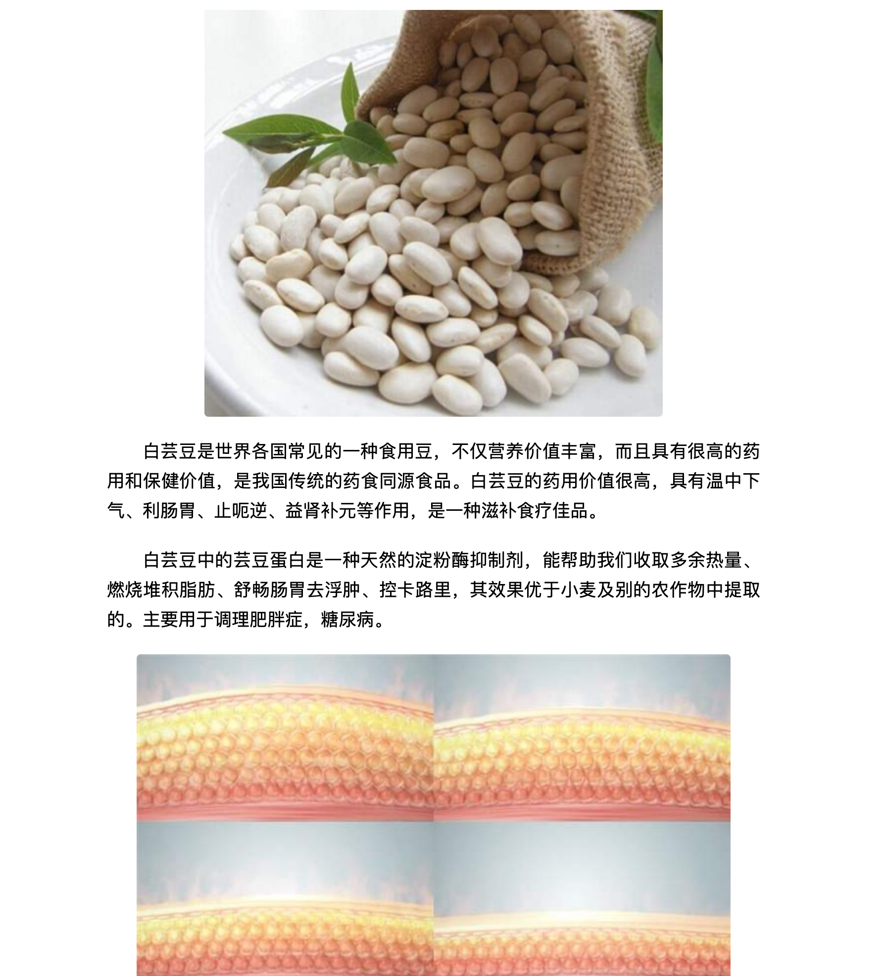 盈养说夜间果蔬酵素为轻盈充值